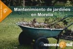 1132-MANTENIMIENTORAPIDO-IMAGEN- Mantenimiento de jardines Jardineros o podar Árboles en Morelia - 03