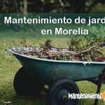 1132-MANTENIMIENTORAPIDO-IMAGEN- Mantenimiento de jardines Jardineros o podar Árboles en Morelia - 03
