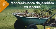 1132-MANTENIMIENTORAPIDO-IMAGEN- Mantenimiento de jardines Jardineros o podar Árboles en Morelia - 03